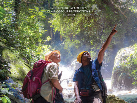 Projection de Mbudha, la Source des Chimpanzés