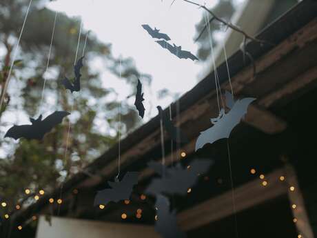 Atelier enfant : “Confectionne ta chauve-souris”