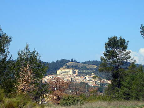 Balade nature : Les charbonniers de Haute Provence