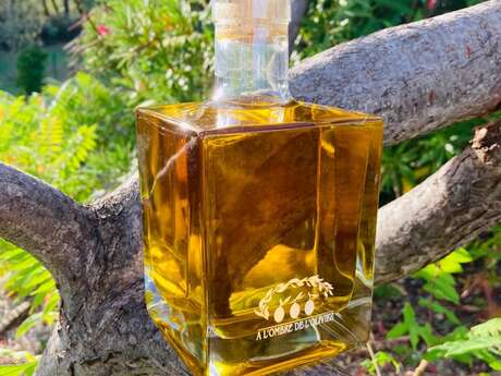 Plongez au cœur du monde oléicole avec une dégustation gratuite : À l'Ombre de L'Olivier