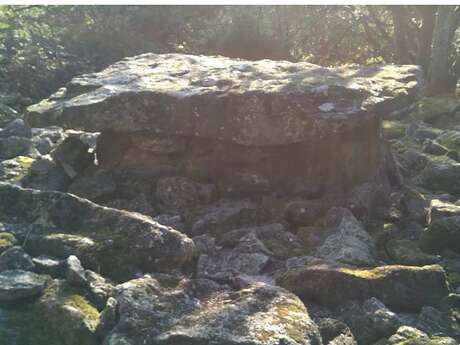 Sentier d'Interprétation des Dolmens