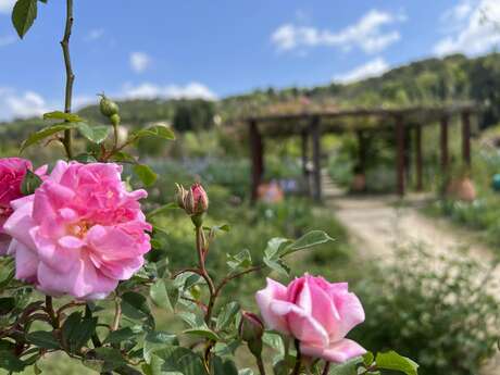 Visite guidée du jardinier