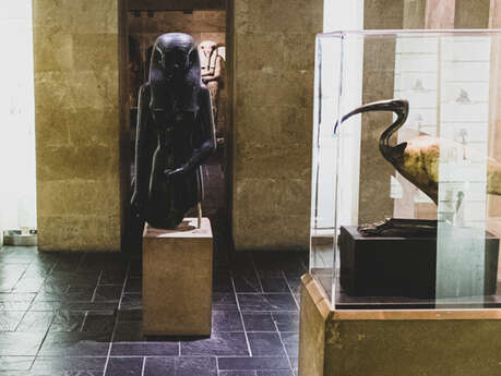La Nuit des Musées au Musée d'Archéologie Méditerranéenne (MAM)