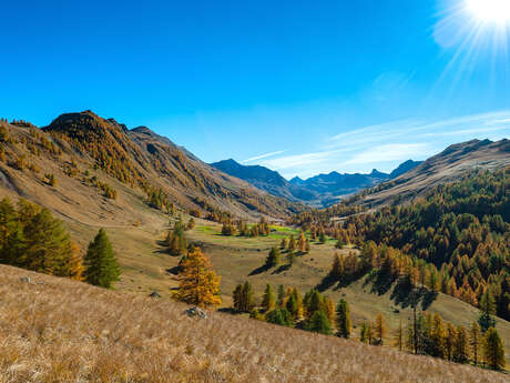 Séjour "Couleur d'automne et paysages de Haute-Provence"