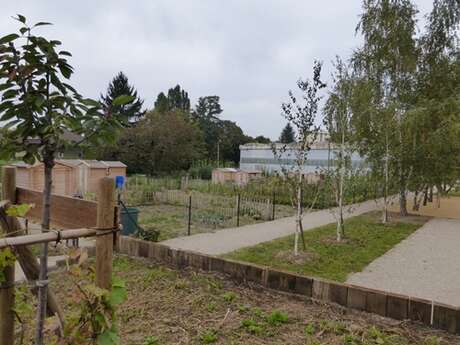 Planet-Boulodrome park
