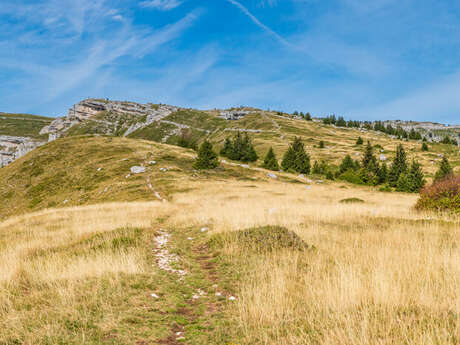 Randonnée au Mont Margeriaz depuis Plainpalais par le Col de la Verne