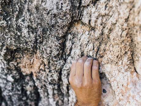 Site escalade - La Balme de Thuy
