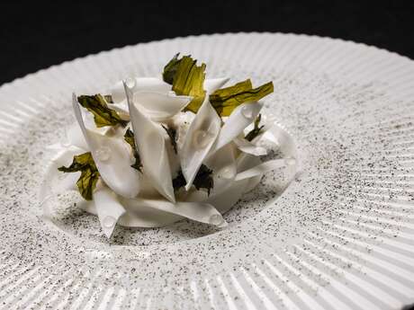 Domaine La Pierre Blanche - Restaurant L'Opale