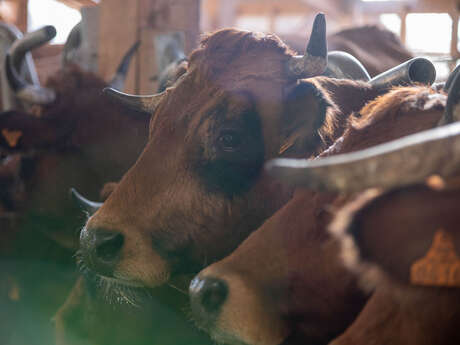 La Ferme de l'Ellebore