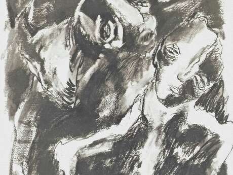 Cabinet de curiosités