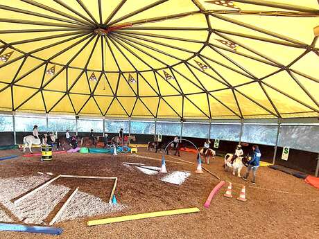 Stages équitation enfants