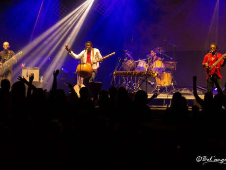 Les mercredis du Parc : Sabaly en concert