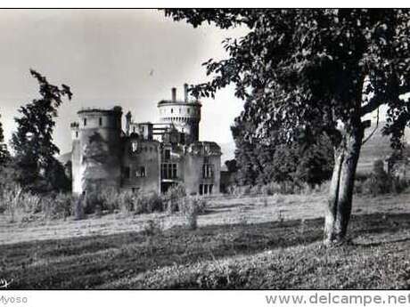 Le château de Bohas