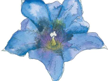 Atelier de dessin et aquarelle pour enfants