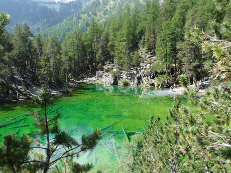 Le lac vert