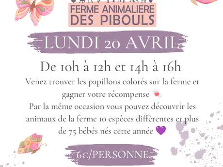 Chasse aux papillons à la ferme