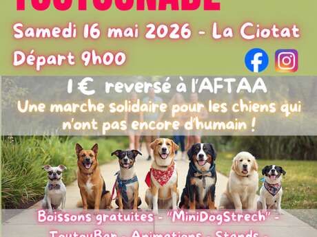 La Toutounade
