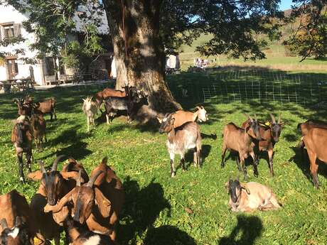 GAEC La Grange des Plans