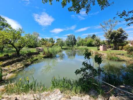 Les  Buisses en Provence