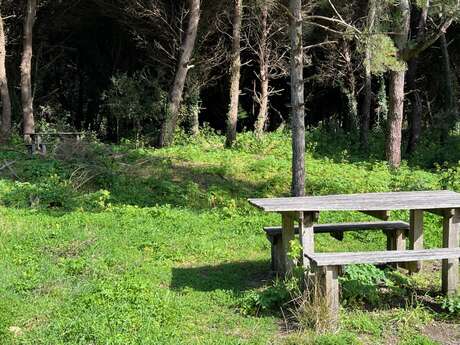 Aire de pique-nique de la forêt de la Combe à l’Eau