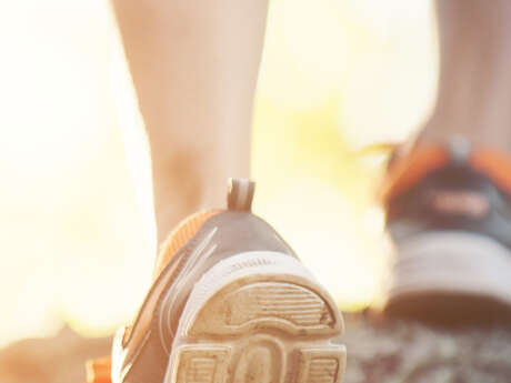 Randonnée solidaire de la Merisaie à Allègre