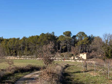 La balade du Petit Poucet