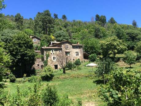 Sous la Vigne - La Mazière