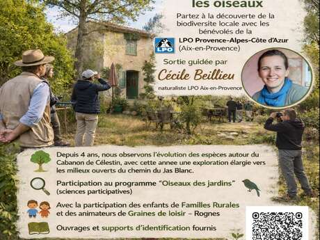 Balade ornithologique