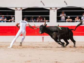 Feria - Course Camarguaise "Trophée des AS"