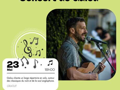 Concert de Galou - Nuit Européenne des Musées