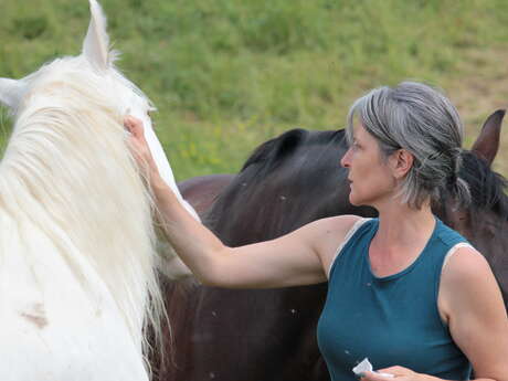 Accompagnement du binôme cavalier-cheval