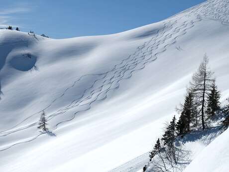 Hors piste / Ski de randonnée