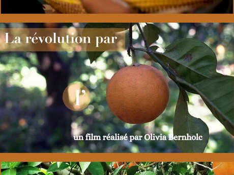 Ciné documentaire - La révolution par l'orange