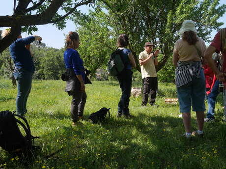 Sortie buissonnière "Secrets des vergers conservatoires, balade à la Thomassine"