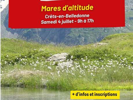Mares d'altitude : un milieu vivant