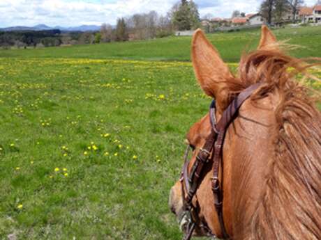 Semaine gourmande : Poneys et goûter