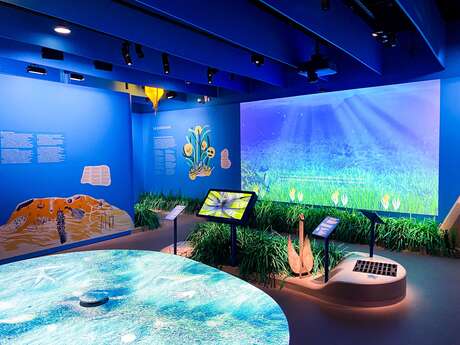 Posidonia - Espace Mer et Littoral