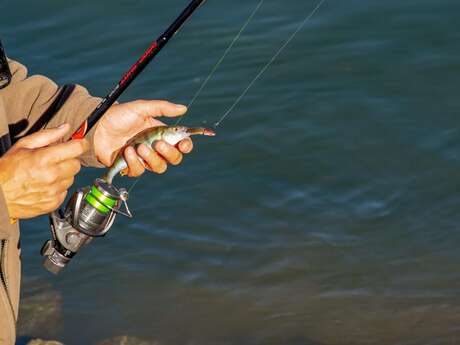 A.A.P.P.M.A. L'Argens