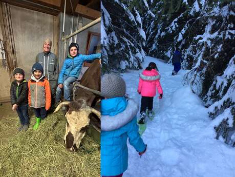Rando raquette à la ferme d'Angèle