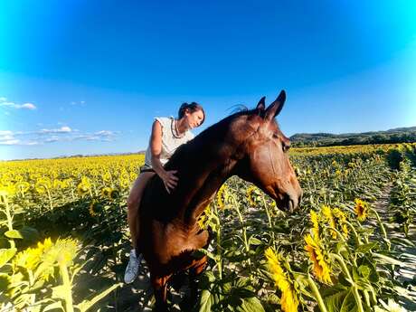Écuries les Clés du Tao