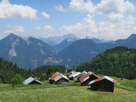 Randonnée pédestre : alpage de Seytrouset