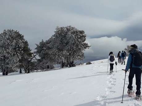 Excursión de un día con raquetas de nieve "La Nordique" por los senderos de Babeth