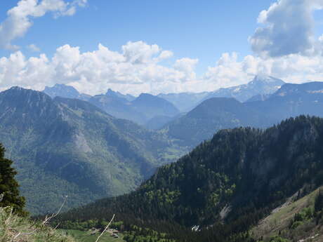 Randonnée pédestre : Col de la Buchille