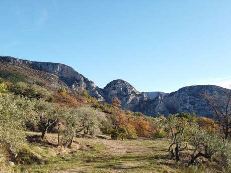 Castillon par les Baumes