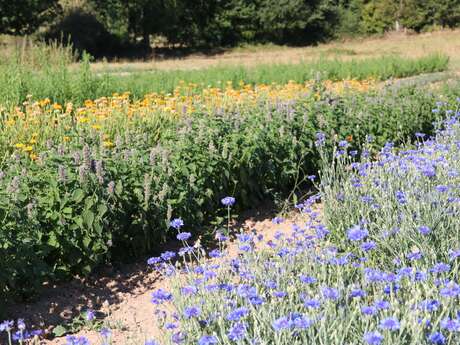 Sem'Arôme - Ambachtelijke kruidkundige