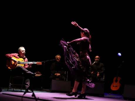 Folia Flamenca - Danse