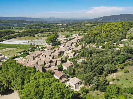 Vaugines