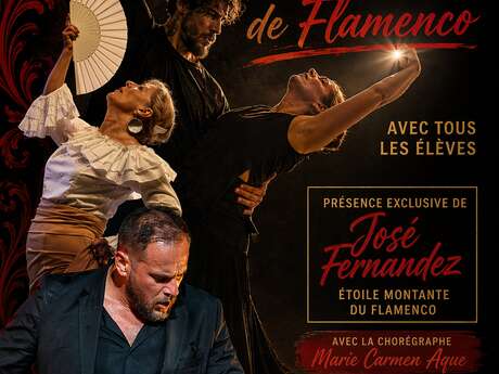 Spectacle de Flamenco