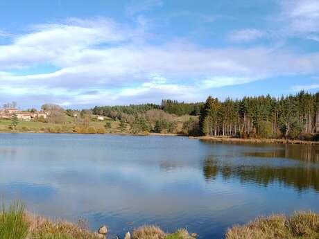 Etang de Vacheresse