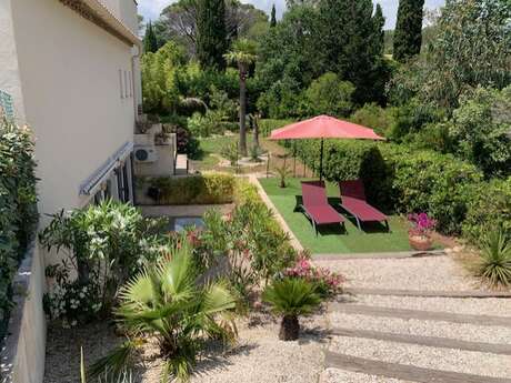 Le clos des oliviers